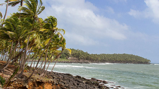 image Guiana Francesa-2