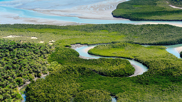 image Guiné-Bissau-1