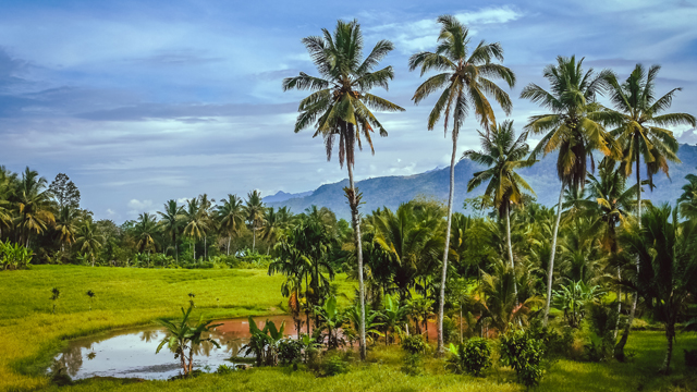 image Indonesia-3